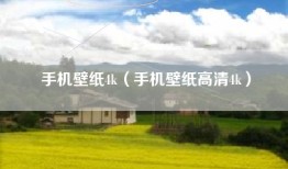 手机壁纸4k（手机壁纸高清4k）