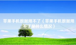 苹果手机数据用不了（苹果手机数据用不了是什么情况）