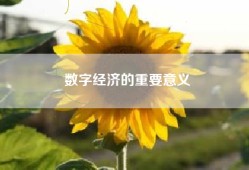 数字经济的重要意义