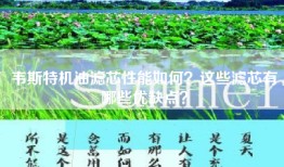 韦斯特机油滤芯性能如何？这些滤芯有哪些优缺点？