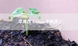 苹果改（iphone手机改）
