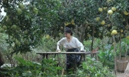 从李子柒到邓超予，她们用实际行动守护非遗之美