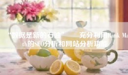 “数据是新的石油” – 充分利用Rank Math的SEO分析和网站分析功能