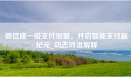 微信碰一碰支付加盟，开启智能支付新纪元_动态词语解释
