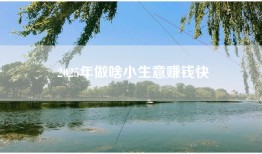 2025年做啥小生意赚钱快
