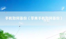 手机如何备份（苹果手机如何备份）