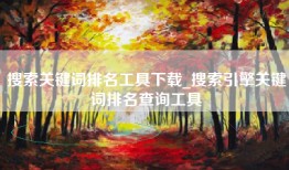搜索关键词排名工具下载_搜索引擎关键词排名查询工具