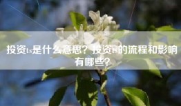 投资ts是什么意思？投资ts的流程和影响有哪些？
