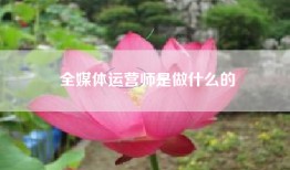 全媒体运营师是做什么的