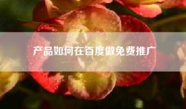 产品如何在百度做免费推广