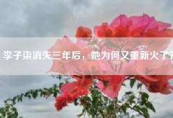 李子柒消失三年后，她为何又重新火了？
