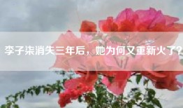 李子柒消失三年后，她为何又重新火了？