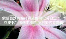 蒙阴县沙沟峪村党支部书记蒋自忠 ：“兵支书”退伍不褪色 乡村振兴立新功