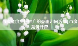 百度竞价加粉推广的页面如何选择_百度竞价开户