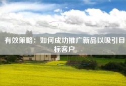 有效策略：如何成功推广新品以吸引目标客户
