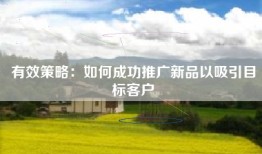 有效策略：如何成功推广新品以吸引目标客户