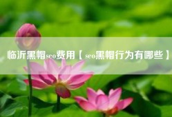 临沂黑帽seo费用【seo黑帽行为有哪些】
