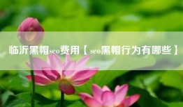 临沂黑帽seo费用【seo黑帽行为有哪些】