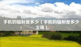手机的辐射是多少（手机的辐射是多少戈瑞）