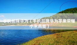手机品牌华为（手机品牌华为苹果荣耀小米高能）