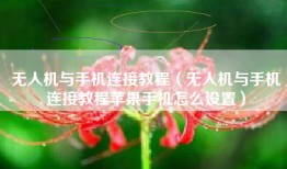 无人机与手机连接教程（无人机与手机连接教程苹果手机怎么设置）