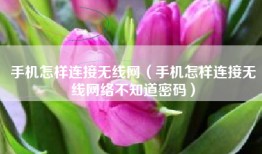手机怎样连接无线网（手机怎样连接无线网络不知道密码）