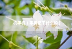 机手机（手机是干什么的）