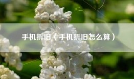 手机折旧（手机折旧怎么算）