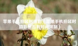 苹果手机拍延时摄影（苹果手机拍延时摄影是否有时间限制）