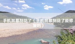 手机屏幕刮花了（手机屏幕刮花了能修复吗）