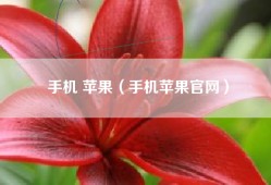 手机 苹果（手机苹果官网）