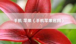 手机 苹果（手机苹果官网）