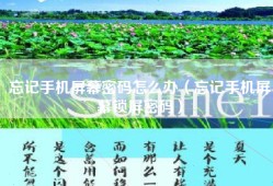 忘记手机屏幕密码怎么办（忘记手机屏幕锁屏密码）