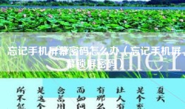 忘记手机屏幕密码怎么办(忘记手机屏幕锁屏密码)