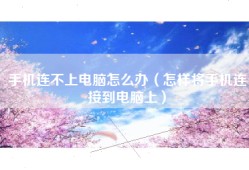 手机连不上电脑怎么办（怎样将手机连接到电脑上）
