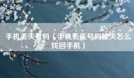 手机丢失号码（手机丢失号码挂失怎么找回手机）
