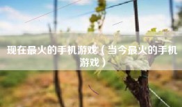 现在最火的手机游戏（当今最火的手机游戏）