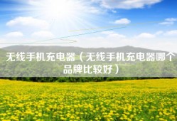 无线手机充电器（无线手机充电器哪个品牌比较好）