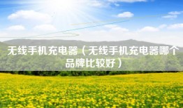无线手机充电器（无线手机充电器哪个品牌比较好）