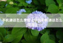 手机通话怎么录音（华为手机通话怎么录音）