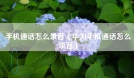 手机通话怎么录音(华为手机通话怎么录音)