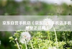 京东自营手机店（京东自营手机店手机都是正品吗）