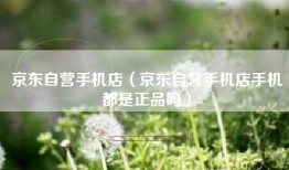 京东自营手机店（京东自营手机店手机都是正品吗）