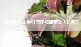 手机防冻（手机防冻贴能带上飞机吗）