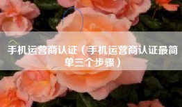 手机运营商认证（手机运营商认证最简单三个步骤）