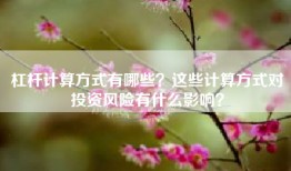杠杆计算方式有哪些？这些计算方式对投资风险有什么影响？