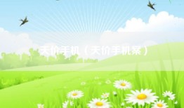 天价手机（天价手机案）