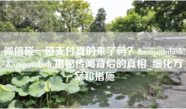 微信碰一碰支付真的来了吗？&mdash;&mdash;揭秘传闻背后的真相_细化方案和措施