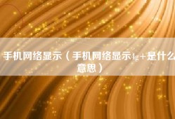 手机网络显示（手机网络显示4g+是什么意思）