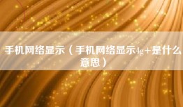 手机网络显示（手机网络显示4g+是什么意思）